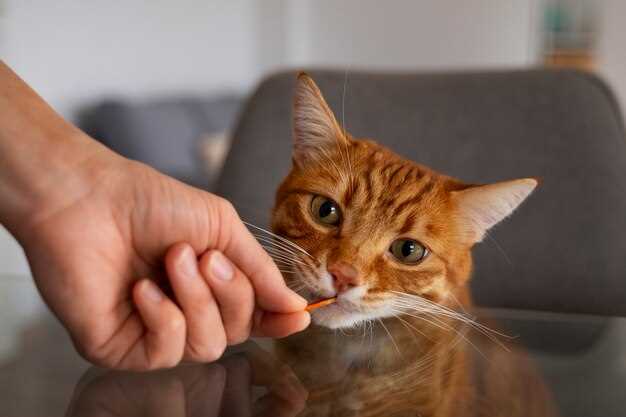 Как узнать, что у вас глисты от кошки