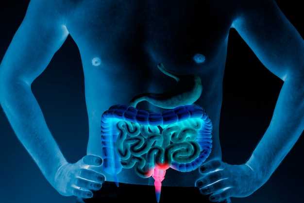 Роль привратника желудка в пищеварительной системе