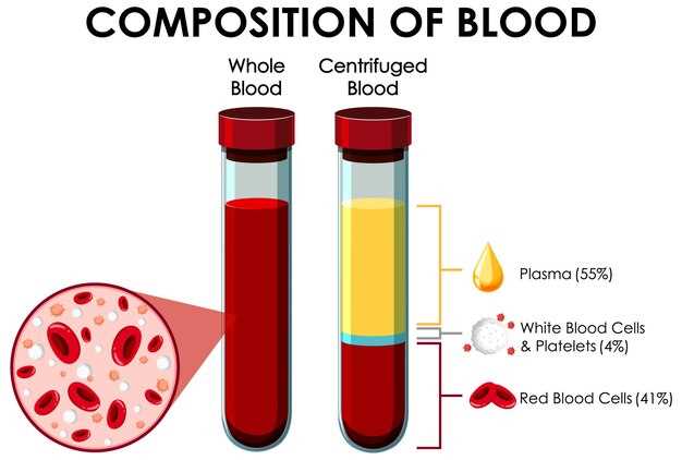 Влияние общего белка на свертываемость крови