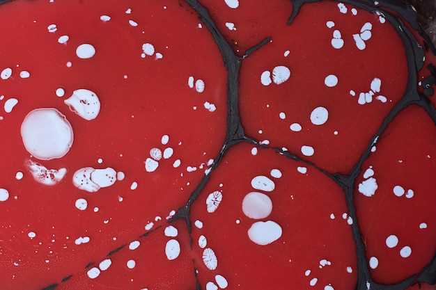 Что такое лейкоциты и какая их норма в крови?