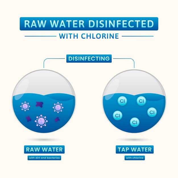 Вода в продуктах: важный компонент для организма